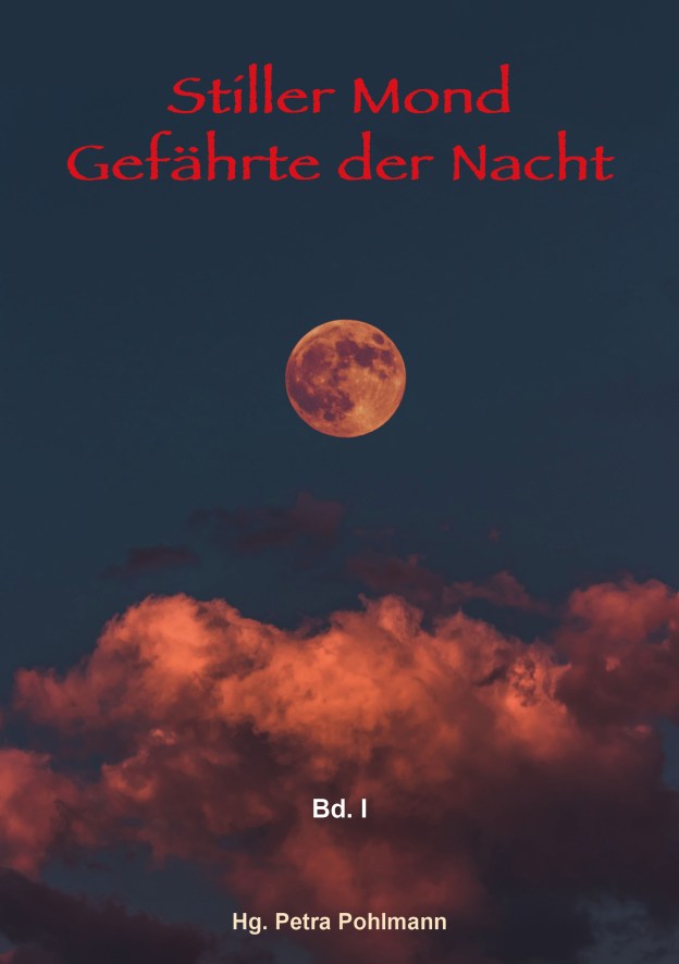 Buchcover, Stiller Mond Gefährte der Nacht
