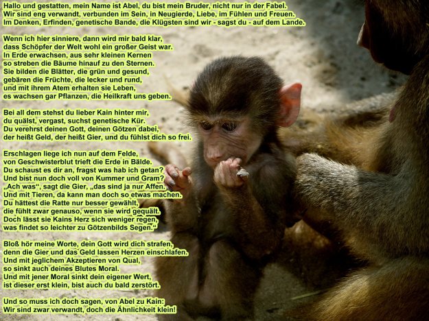 Gesicht-Gedicht Affe