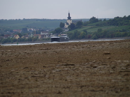 Ausgetrocknetes Flussbett des Rheins
