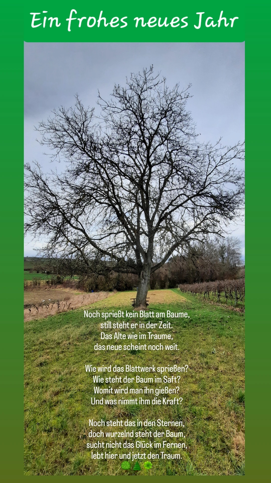 Baum auf Wiese mit Gedicht